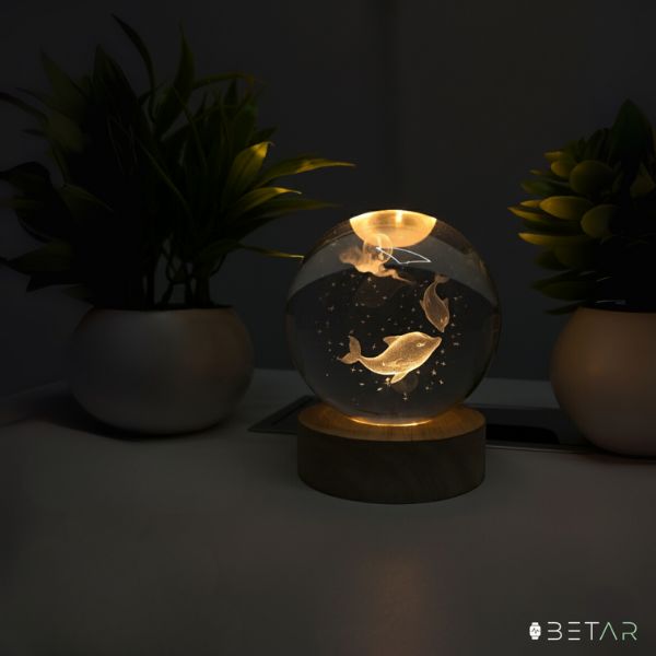 3D Dolphin Crystal LED Night Lamp